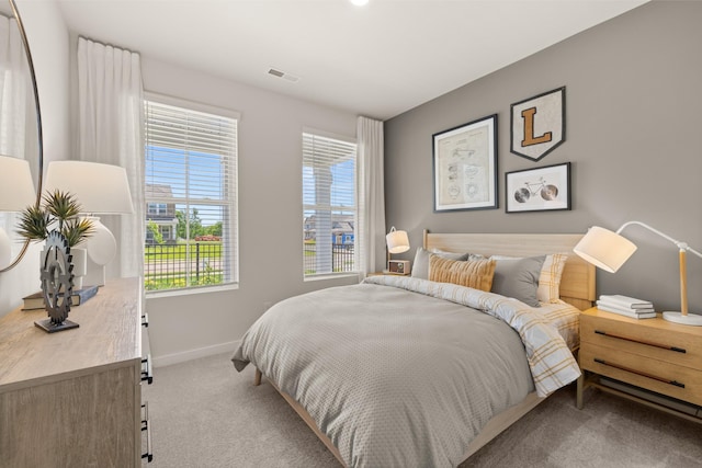2453 Williams Ridge Dr, Columbia, TN 38401 - carpeted bedroom featuring multiple windows