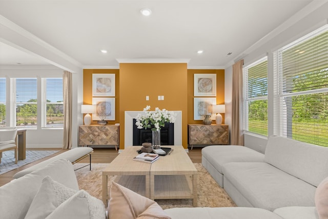 2453 Williams Ridge Dr, Columbia, TN 38401 - living room with crown molding, light wood-type flooring, and recessed lighting