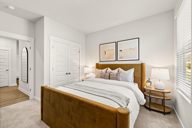 2453 Williams Ridge Dr, Columbia, TN 38401 - bedroom featuring light colored carpet, multiple windows, and a closet