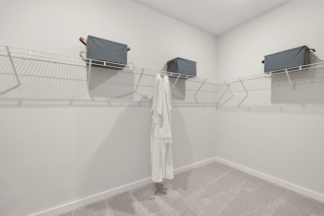 2453 Williams Ridge Dr, Columbia, TN 38401 - walk in closet with carpet