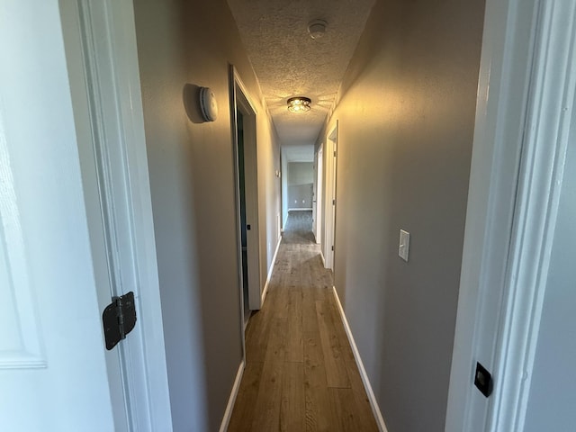 544 Carters Valley Rd, Rogersville, TN 37857 - photo 24