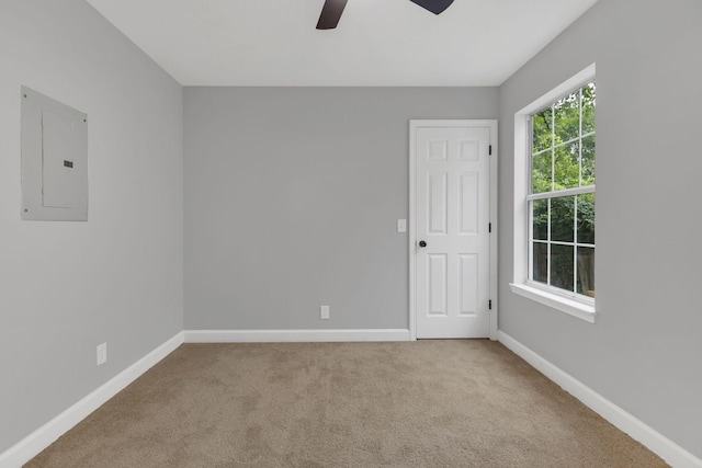 2336 Benay Rd, Nashville, TN 37214 - photo 20
