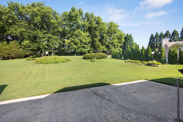 9401 Lazy Circles Dr, Ooltewah, TN 37363 - view of grassy yard