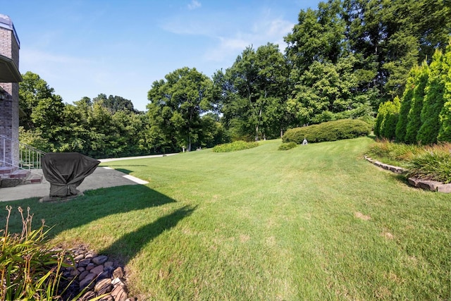 9401 Lazy Circles Dr, Ooltewah, TN 37363 - view of grassy yard