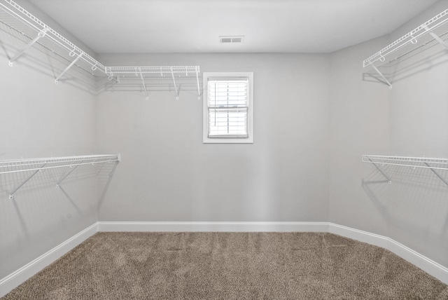 3035 Fort Sumter Dr, Clarksville, TN 37042 - photo 18