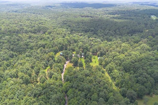 539 Bland Hollow Rd, Hohenwald, TN 38462 - aerial view of property's location with a forest