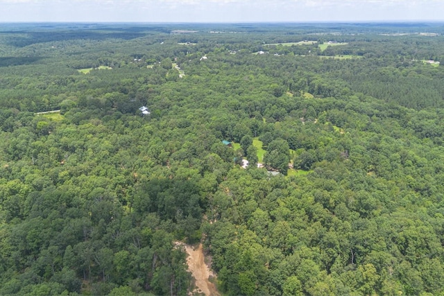 539 Bland Hollow Rd, Hohenwald, TN 38462 - view of property location with a forest