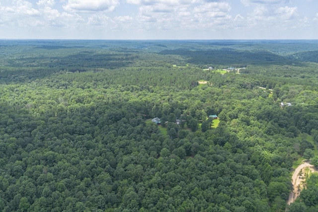 539 Bland Hollow Rd, Hohenwald, TN 38462 - aerial view of a heavily wooded area