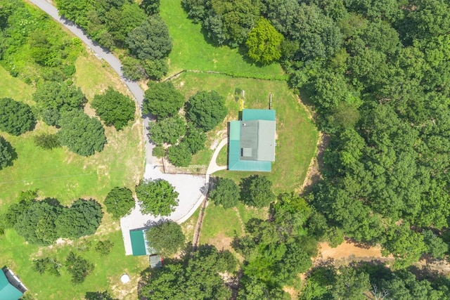 539 Bland Hollow Rd, Hohenwald, TN 38462 - aerial view of property's location