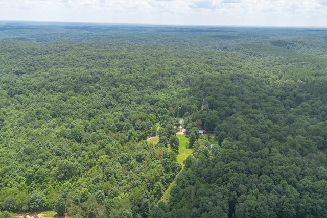 539 Bland Hollow Rd, Hohenwald, TN 38462 - aerial view of a forest