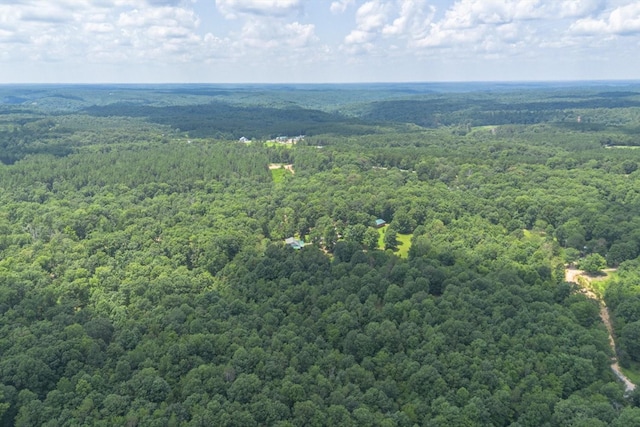 539 Bland Hollow Rd, Hohenwald, TN 38462 - aerial view of a heavily wooded area