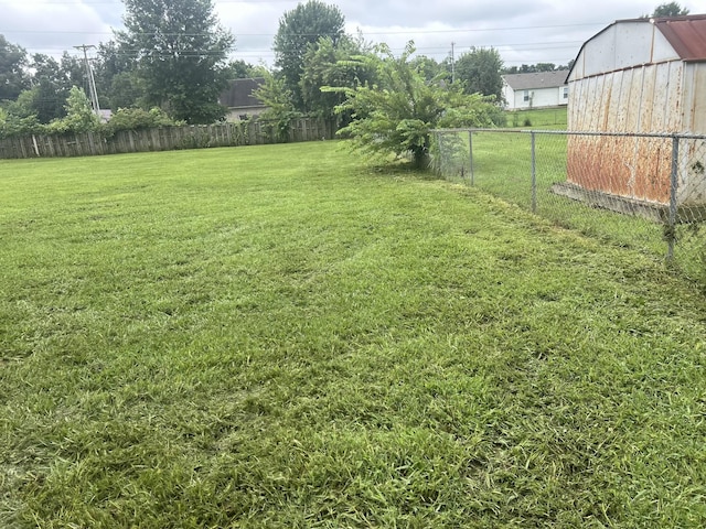 1626 Hannibal Dr, Oak Grove, KY 42262 - view of yard