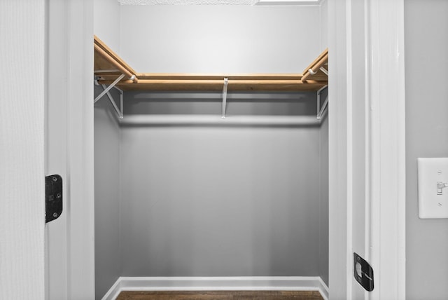 1155 Delmont Church Rd, Cadiz, KY 42211 - spacious closet with wood finished floors