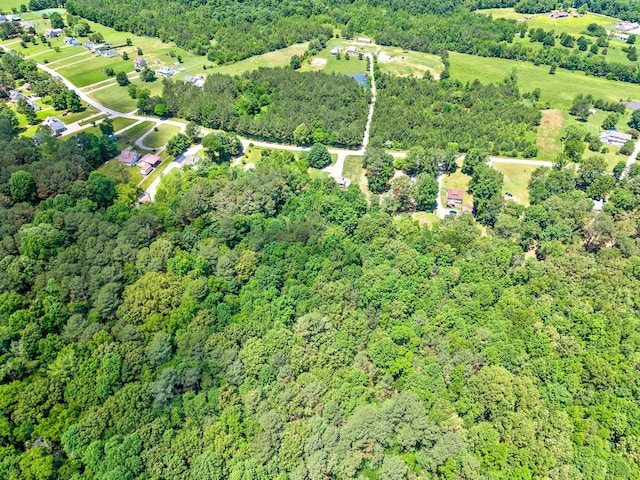 1155 Delmont Church Rd, Cadiz, KY 42211 - aerial view of property and surrounding area with a forest