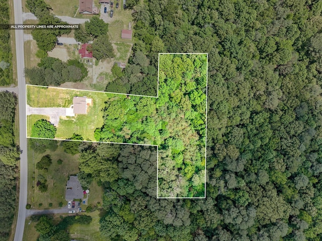 1155 Delmont Church Rd, Cadiz, KY 42211 - aerial view of property and surrounding area with property parcel outlined and a heavily wooded area