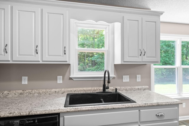 1155 Delmont Church Rd, Cadiz, KY 42211 - kitchen featuring black dishwasher, light countertops, white cabinetry, and healthy amount of natural light