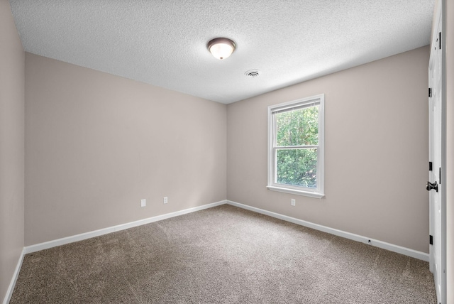 1155 Delmont Church Rd, Cadiz, KY 42211 - unfurnished room featuring carpet flooring and a textured ceiling