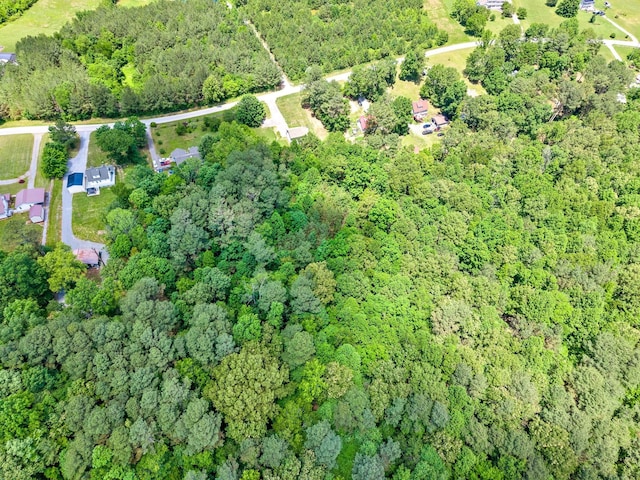 1155 Delmont Church Rd, Cadiz, KY 42211 - aerial view of property and surrounding area with a forest