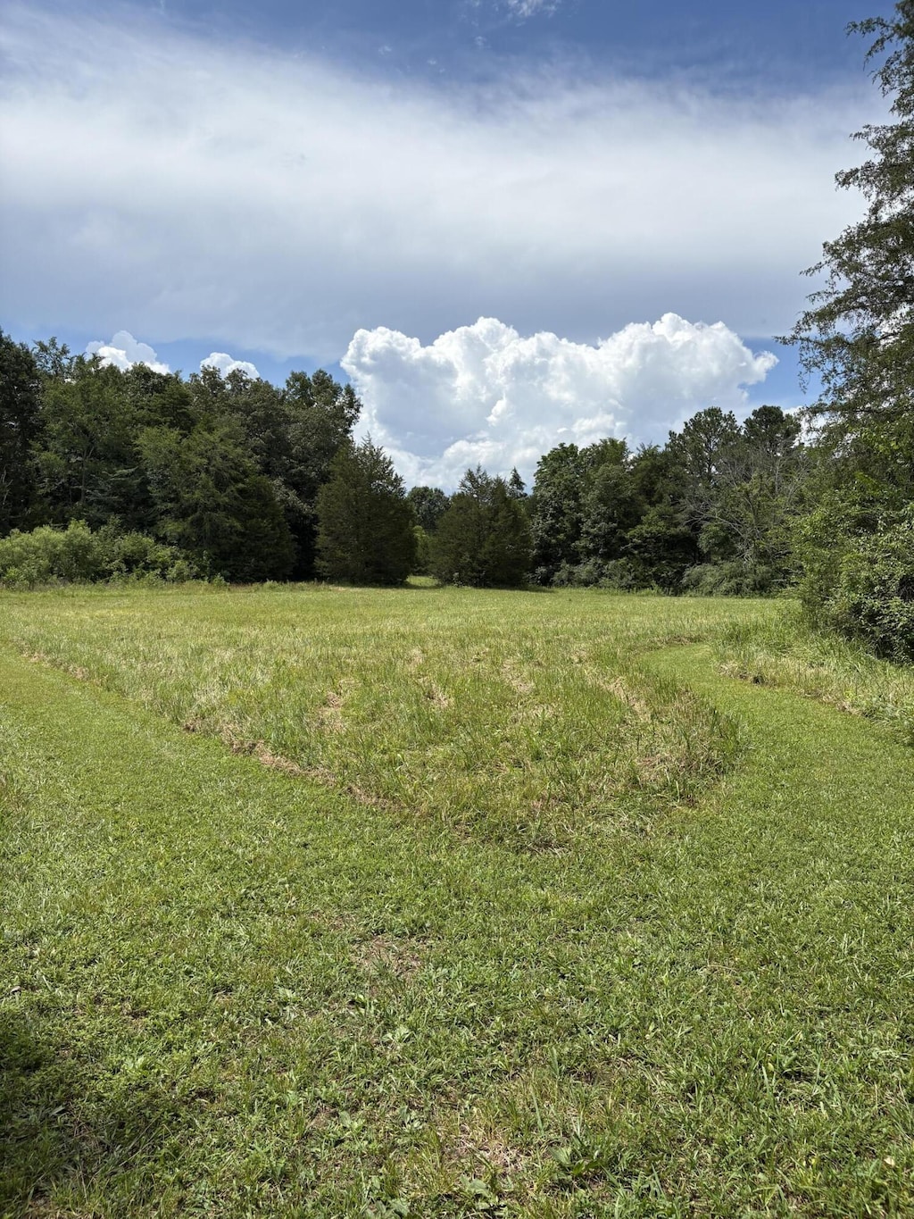 657 Brock Rd, Chickamauga, GA 30707 - view of tree filled area