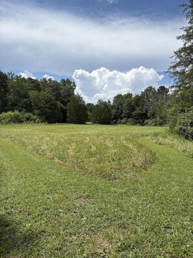 657 Brock Rd, Chickamauga, GA 30707 - view of tree filled area
