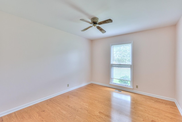 2519 Regency Park Dr, Murfreesboro, TN 37129 - photo 23
