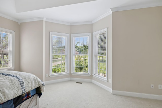 6913 Zion Crossing Ct, Columbia, TN 38401 - bedroom featuring carpet, ornamental molding, and multiple windows