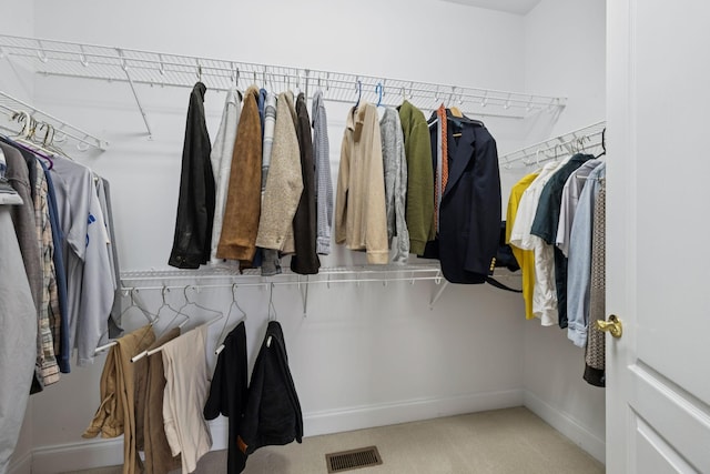 6913 Zion Crossing Ct, Columbia, TN 38401 - walk in closet with carpet flooring