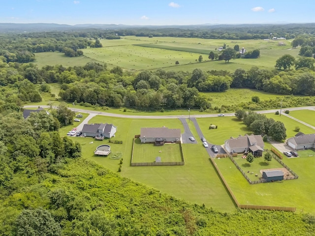 1493 Azalee Ln, Chapel Hill, TN 37034 - overview of rural landscape