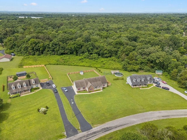 1493 Azalee Ln, Chapel Hill, TN 37034 - bird's eye view of a forest