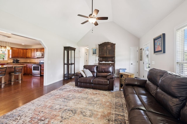 1493 Azalee Ln, Chapel Hill, TN 37034 - living room with dark wood-type flooring, healthy amount of natural light, a ceiling fan, vaulted ceiling, and arched walkways