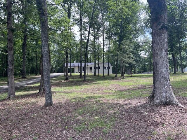 13496 US Highway 41, Tracy City, TN 37387 - photo 15