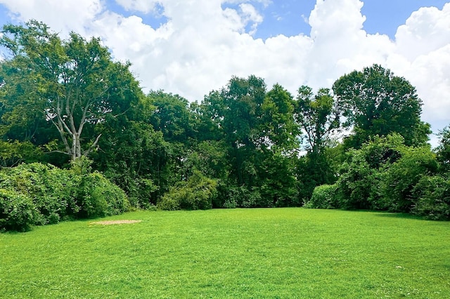 103 Fairway Dr, Nashville, TN 37214 - photo 49