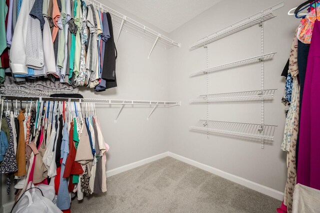 1906 Charismatic Pl, Murfreesboro, TN 37128 - walk in closet with carpet floors