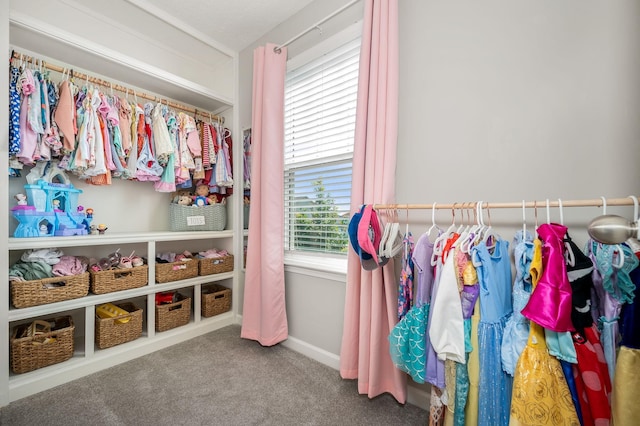1906 Charismatic Pl, Murfreesboro, TN 37128 - walk in closet featuring carpet flooring