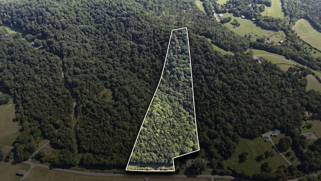 0 Green Hill Rd, Pleasant Shade, TN 37145