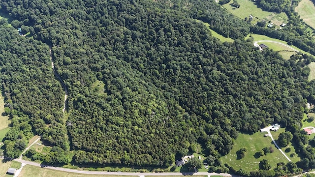 0 Green Hill Rd, Pleasant Shade, TN 37145