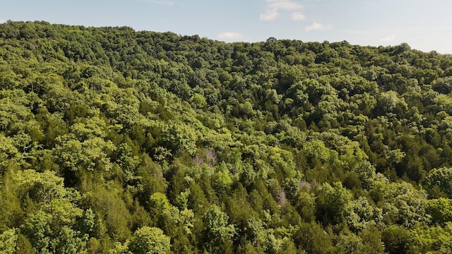0 Green Hill Rd, Pleasant Shade, TN 37145