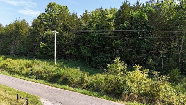 0 Green Hill Rd, Pleasant Shade, TN 37145