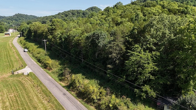 0 Green Hill Rd, Pleasant Shade, TN 37145
