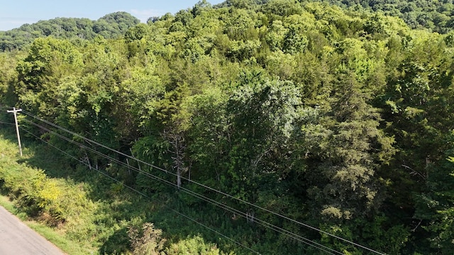 0 Green Hill Rd, Pleasant Shade, TN 37145