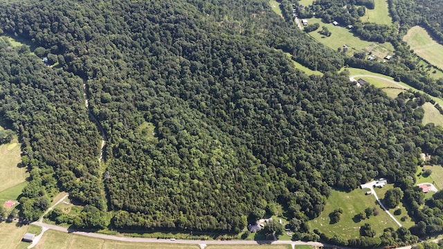 0 Green Hill Rd, Pleasant Shade, TN 37145