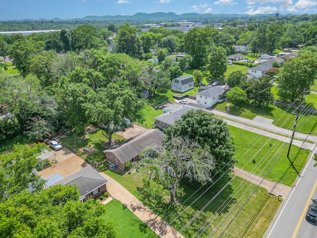 177 Mccall St, Nashville, TN 37211 - photo 33