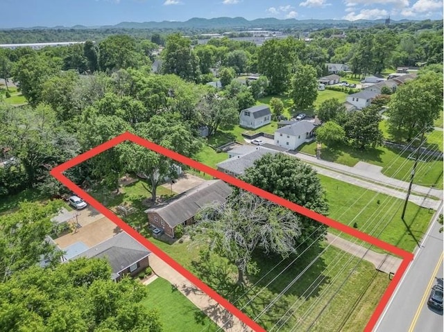 177 Mccall St, Nashville, TN 37211 - photo 2