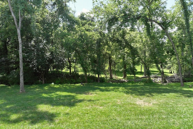 2044 Albatross Way, Gallatin, TN 37066 - photo 7