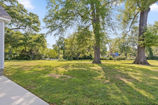 212 Mcbrien Rd, Chattanooga, TN 37411 - view of grassy yard with view of wooded area