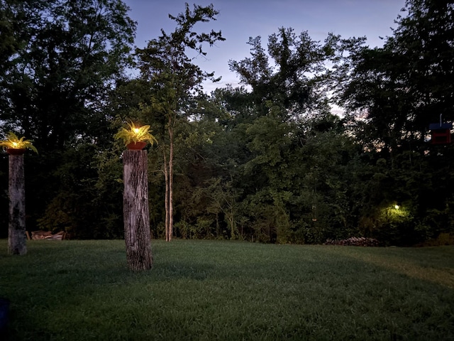 3257 Holiday Ln, Columbia, TN 38401 - photo 49