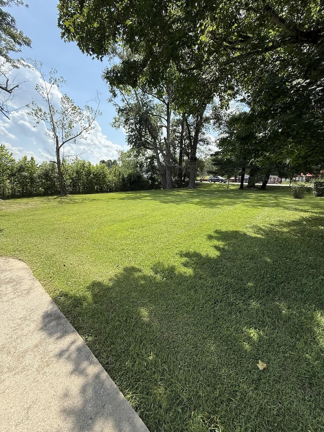 4319 Manchester Hwy, Mcminnville, TN 37110 - photo 3