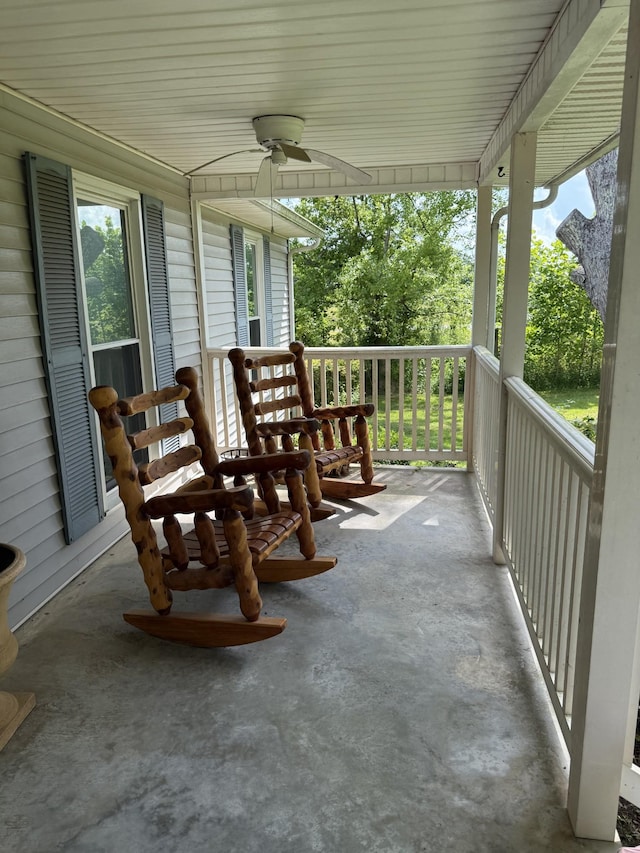 4319 Manchester Hwy, Mcminnville, TN 37110 - photo 8