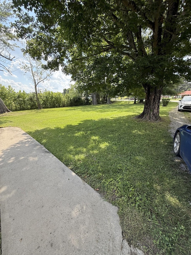 4319 Manchester Hwy, Mcminnville, TN 37110 - photo 4
