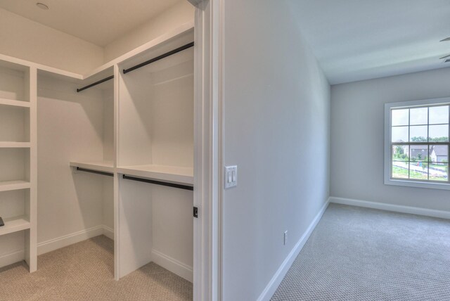 1493 Eden Rose Pl, Nolensville, TN 37135 - photo 40